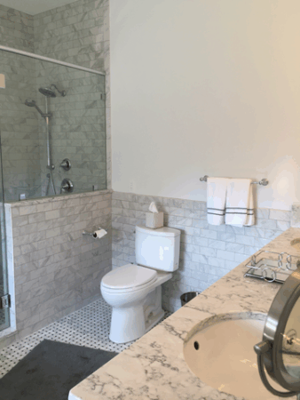 Custom frameless shower door and Toto toilet